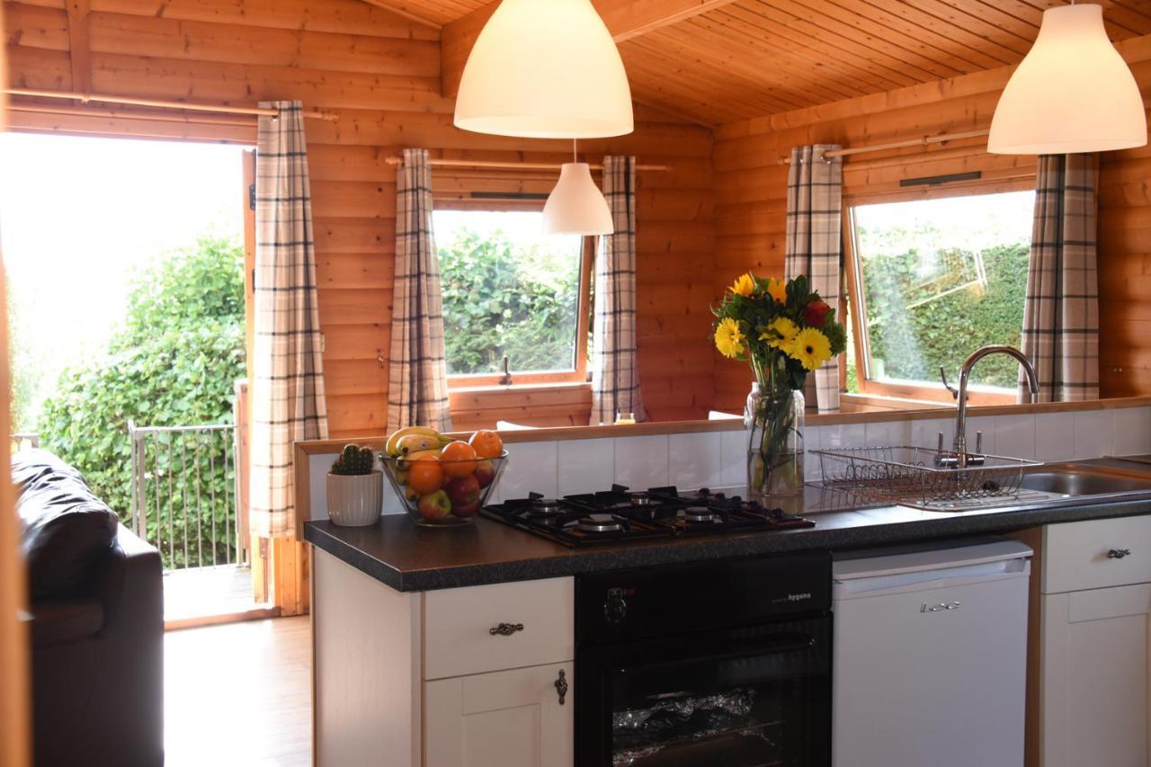 Tawny Owl Lodge Rhayader Zewnętrze zdjęcie
