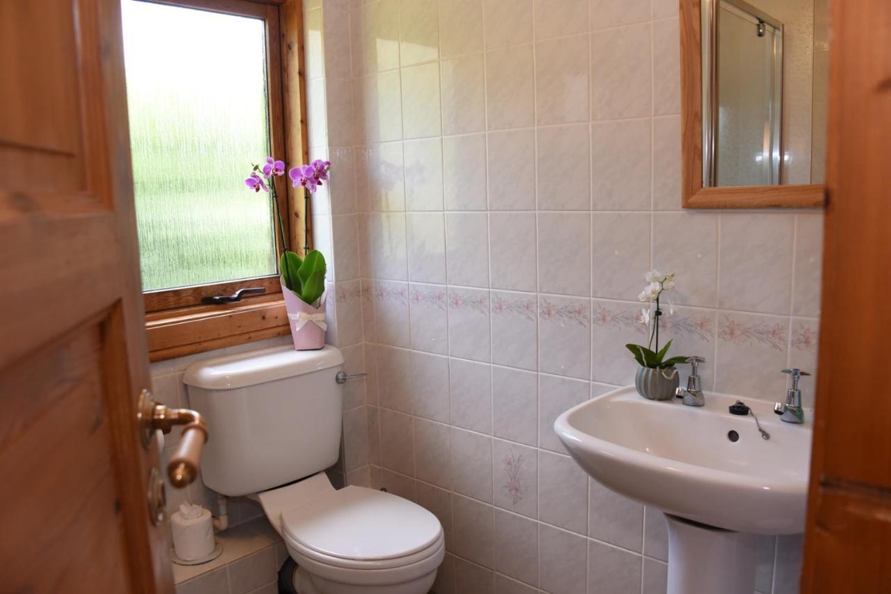 Tawny Owl Lodge Rhayader Zewnętrze zdjęcie